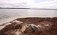Berringar 71 Green Point - thumb 4