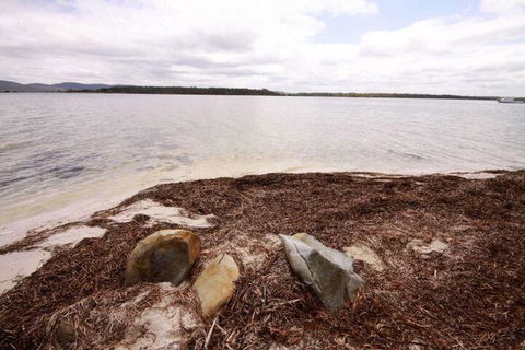Berringar 71 Green Point - Accommodation VIC 4