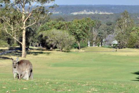 Villa Beaujolais Located Within Cypress Lakes - Accommodation VIC 5