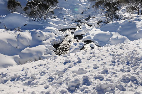 Powder 2a - Accommodation VIC 2