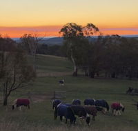 High Country Trail Rides  Farm Stay - Accommodation VIC