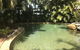 Palm Villas Resort - thumb 1