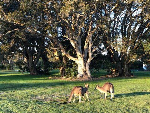 The Boathouse - Accommodation VIC 4