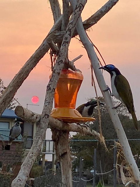 The Boathouse - Accommodation VIC 6