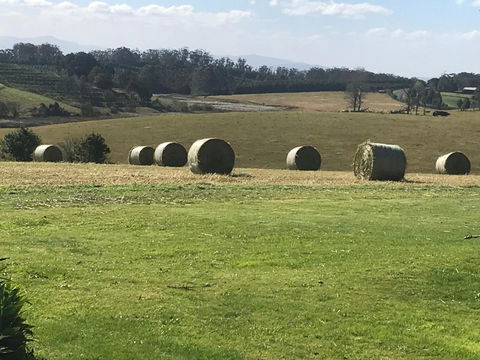 Windrush BnB Comboyne Australia - Accommodation VIC 3