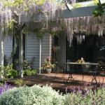 Windrush BnB Comboyne Australia - Accommodation VIC 0