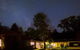 Three Linden - thumb 5