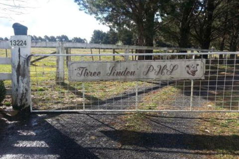 Three Linden - Accommodation VIC 3