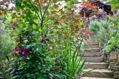 The Black Cockatoo Secret Garden Mountains Home - Accommodation VIC 6