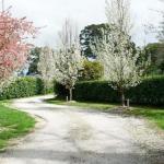 Robin Hill Manor Rambling Retreat & Tennis Court - Accommodation VIC 0