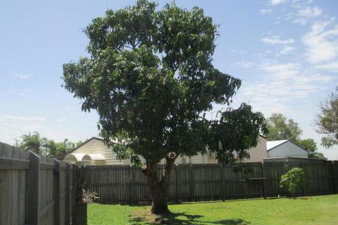 Fishermans Cottage Hervey Bay - Accommodation VIC 2