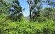 Love Shack 1 Bedroom Cosy Cottage! - thumb 3