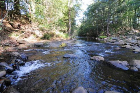 Willabrook Retreat Mojo Cottage Romantic Escape! - Accommodation VIC 5