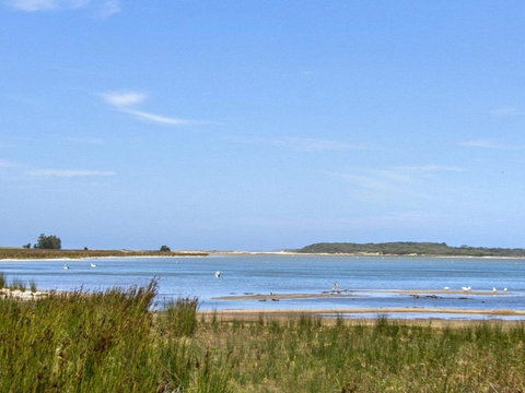 The Batch Funky & Fun - Accommodation VIC 5