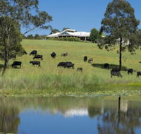 Talumberi 221 Trapyard Road - Accommodation VIC