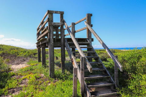The Surf Shack - Accommodation VIC 4