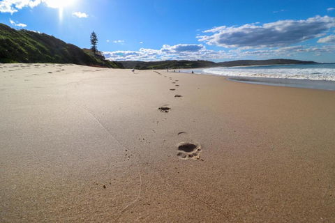 Surfers Paradise At Catherine Hill Bay - Accommodation VIC 2