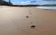 Surfers Paradise At Catherine Hill Bay - thumb 0