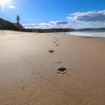 Surfers Paradise At Catherine Hill Bay - Accommodation VIC 0