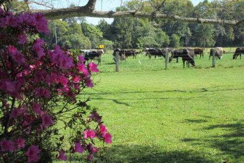 Greenfields - Accommodation VIC 2