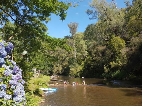 Jamieson Caravan Park - Accommodation VIC 6