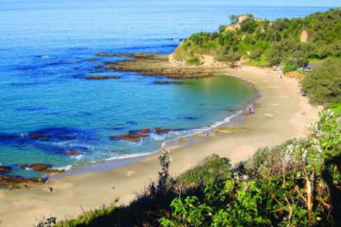 Pacific Studio Nambucca Heads - Accommodation VIC 5