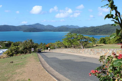 Oasis 25 Hamilton Island - Accommodation VIC 5