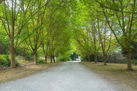 In The Valley - Accommodation VIC 6