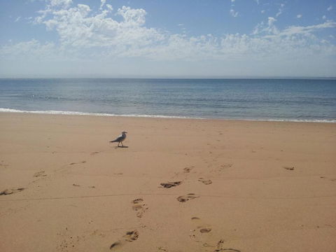 61 Red Rocks Rd Cowes - Accommodation VIC 5