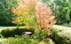 Acacia House Retreat Daylesford - thumb 0
