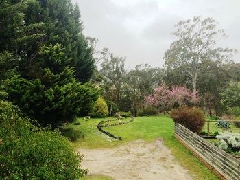 Acacia House Retreat Daylesford - Accommodation VIC 1
