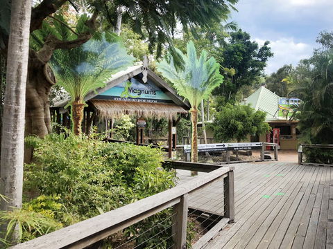 Magnums Airlie Beach - Accommodation VIC 5