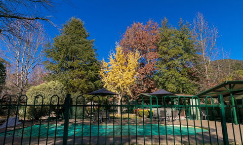 The Birch House - Silver Birches - Accommodation VIC 1