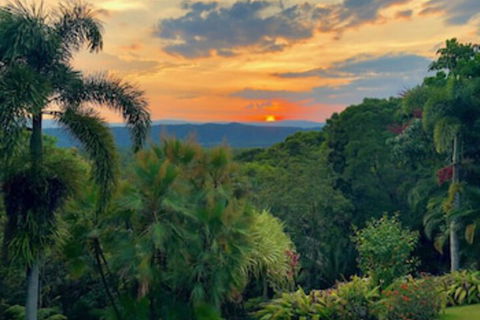 Daintree Manor Bed & Breakfast - Accommodation VIC 0