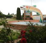 Big Trout Motel - Accommodation VIC