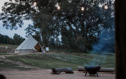 Mansfield Glamping - Accommodation VIC 2