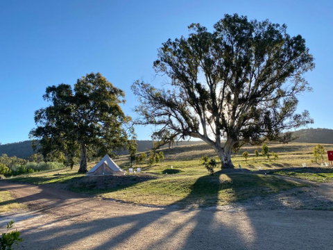 Mansfield Glamping - Accommodation VIC 3