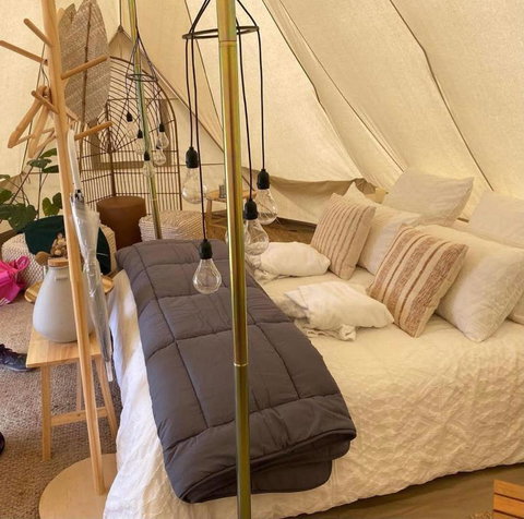 Mansfield Glamping - Accommodation VIC 4
