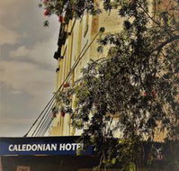 Caledonian Hotel - Accommodation VIC