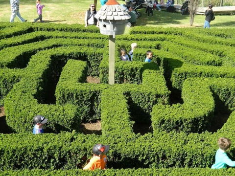 Home Near Shops & Beach - Accommodation VIC 6