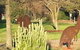 Chenery Retreat - thumb 4