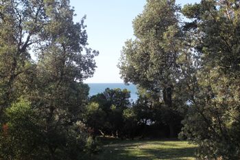 Uringah Rejuvenate Stays - Accommodation VIC 6