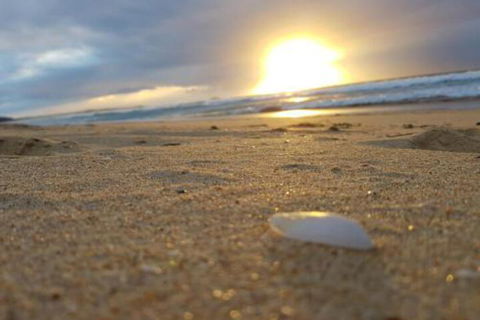 Eagles Loft - Accommodation VIC 6