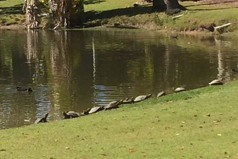 Sanctuary Lakes Fauna Retreat - Accommodation VIC 1