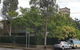 Cambridge Lodge - Hostel - thumb 1