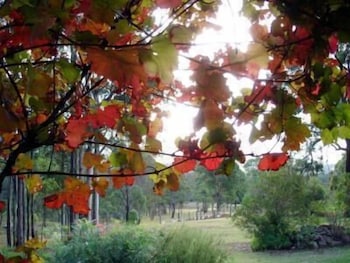 Elfin Hill Country Accommodation - Accommodation VIC 0
