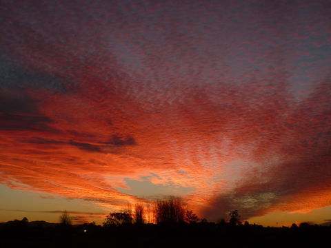 City Centre Motel - Accommodation VIC 0