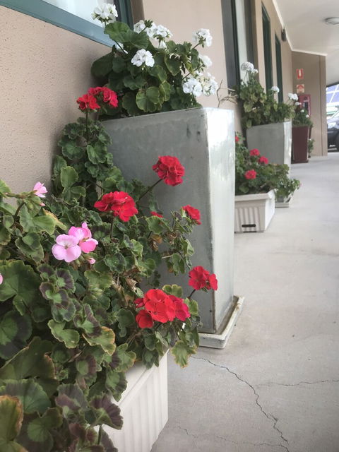 The Bakehouse Motel - Accommodation VIC 4