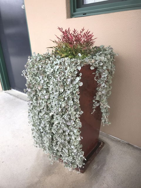 The Bakehouse Motel - Accommodation VIC 3