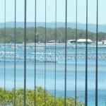 Montgomery Apartments - Accommodation VIC 1